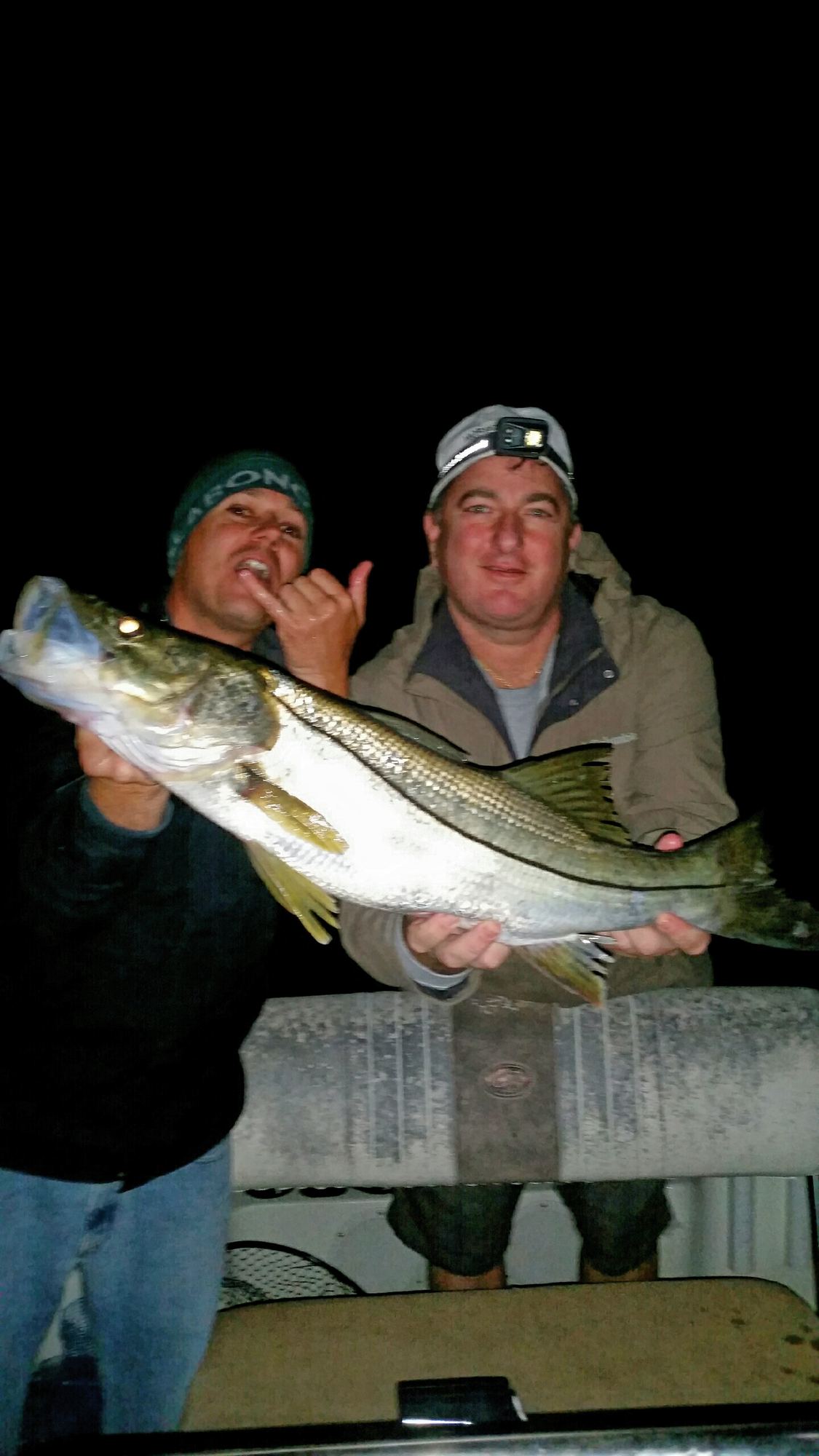 Night fishing catch aboard the Captain Key Largo bay boat after dark