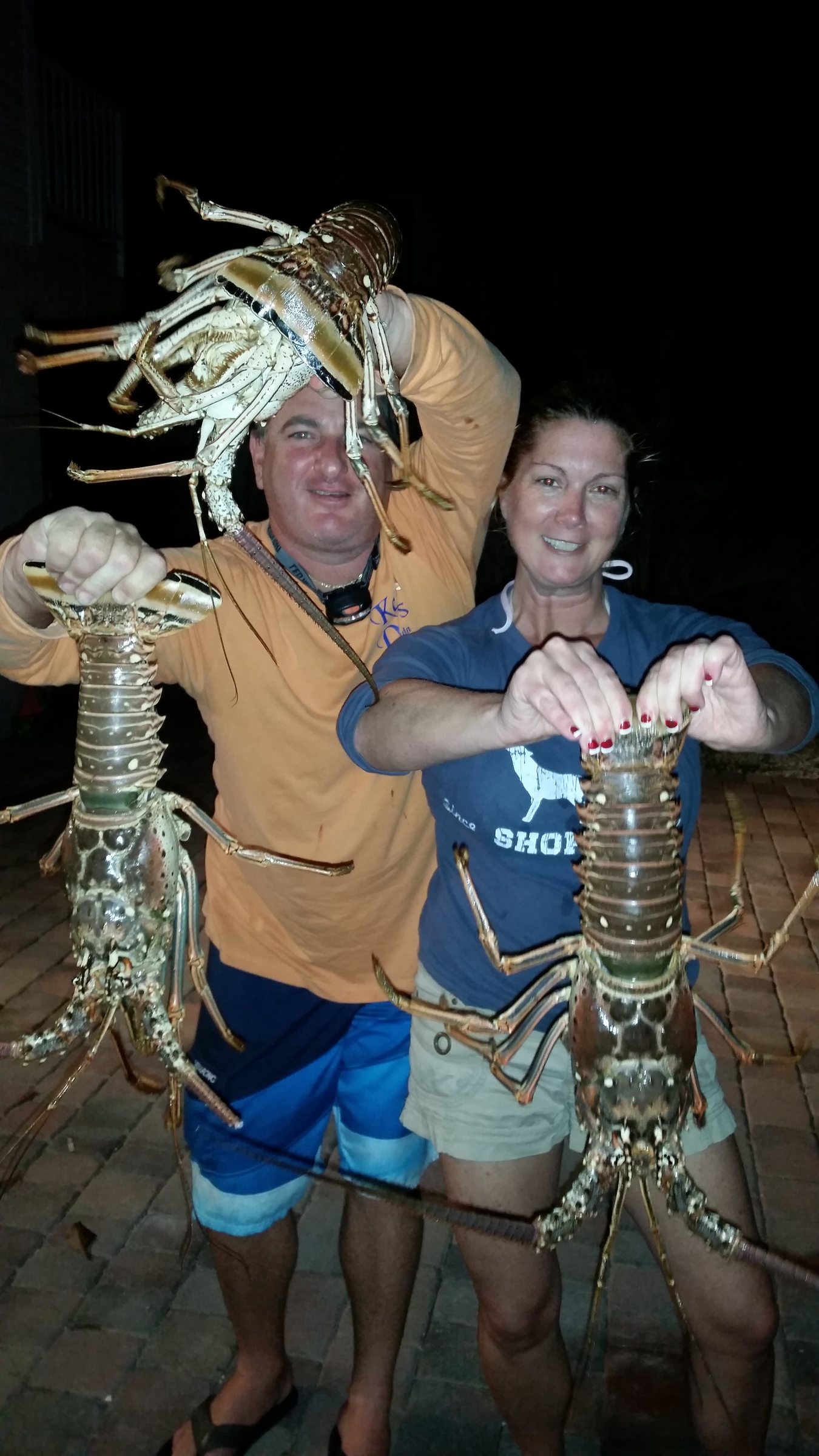 Spiny lobster catch held up on a night trip with Captain Key Largo